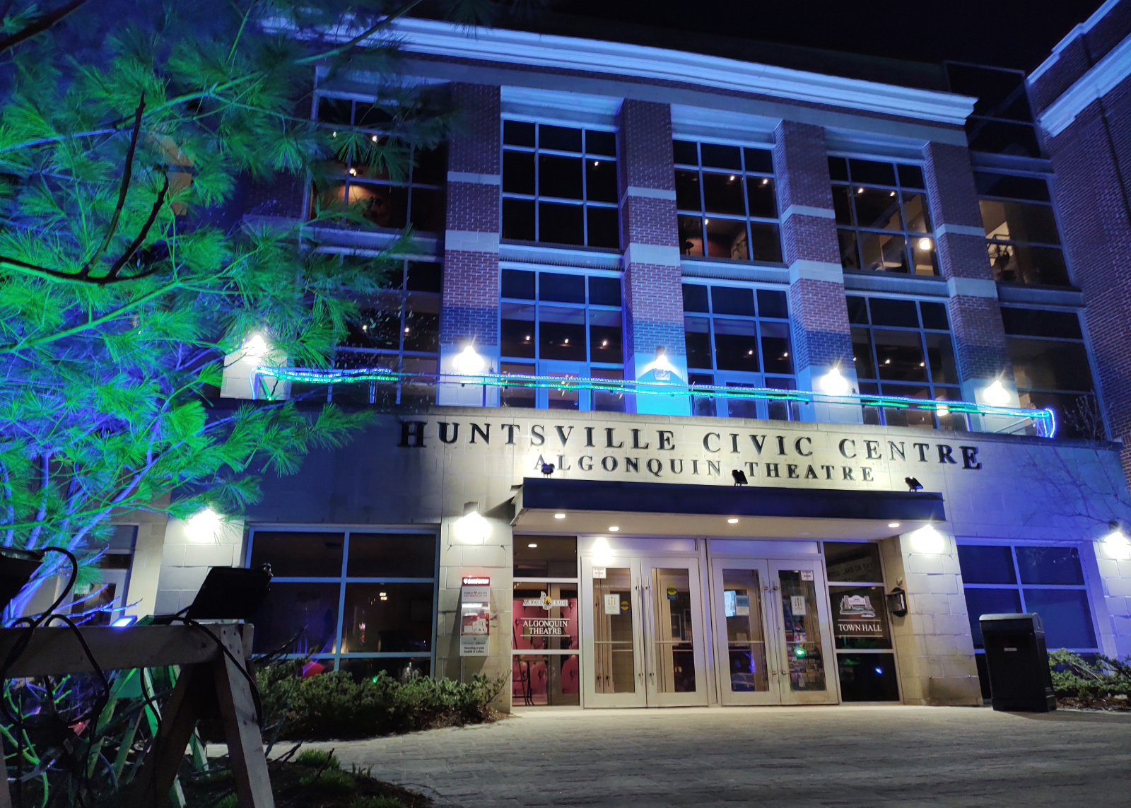 Shine a Light on Community Living Community Living Huntsville